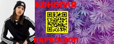 мдпв Пенза
