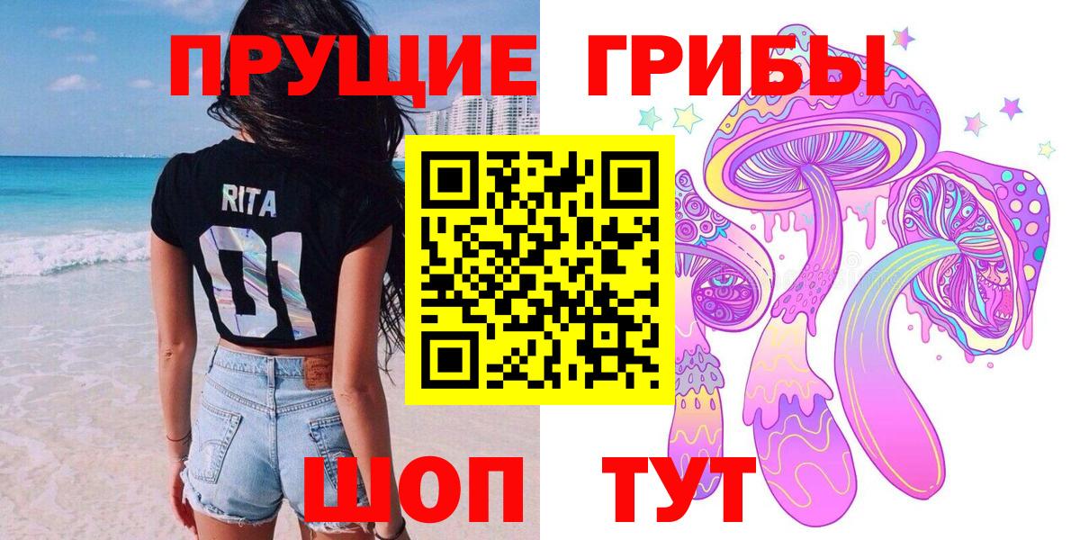 Галлюциногенные грибы GOLDEN TEACHER  Вход с VPN  сколько стоит  Галлюциногенные грибы Psilocybine cubensis  Ставрополь 